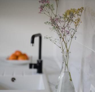 Siauliai City Center Apartment | Relax Apartment