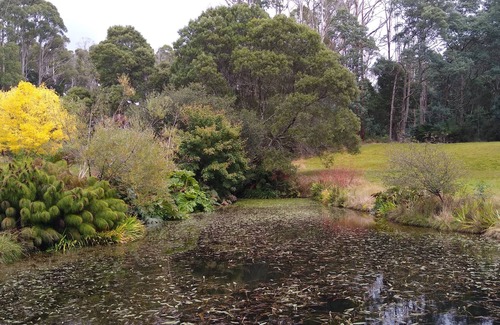 Branxholm Cottage | Relax in stunning private gardens and explore Tasmania's North East