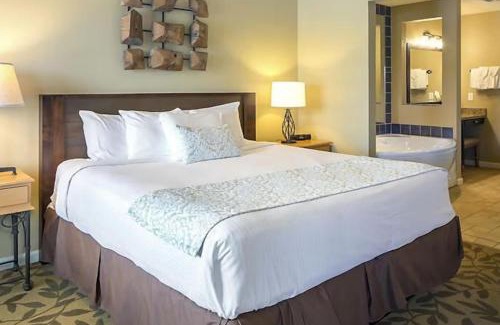 Big Cedars House | Relax surrounded by nature in this 1BD resort condo with resort amenities