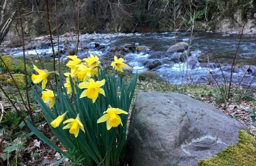 Bagni di Lucca House | Relax totale nel Bosco Lucca