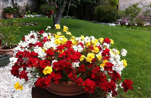 Ovest Apartment | Relaxing historic villa, cycle path to the city center, lake, Valpolicella