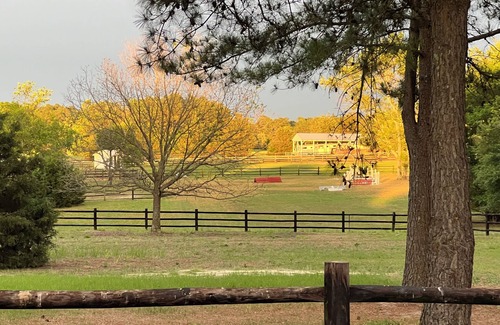 Southern Pines House | Relaxing, peaceful, and lush horse farm. Quiet, 30 acres, & close to everything!