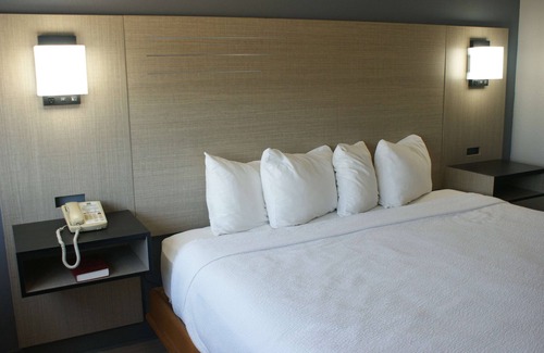 Van Buren Hotel | Relaxing Pet Friendly Room Perfect for a Relaxing Couple Getaway