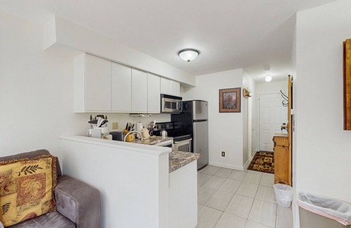 Four O'Clock Condo | Renovated Ski-in Dog-Friendly condo – Walk to Main Street!