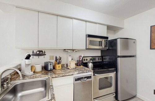 Four O'Clock Condo | Renovated Ski-in Dog-Friendly condo – Walk to Main Street!