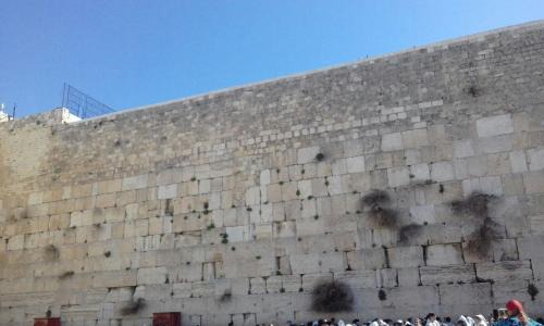 Mamilla Apartment | Rental Israel-Mamila Residences 14