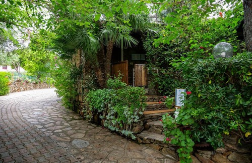 Tanaunella House | Residence L'Ulivo