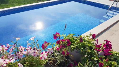 Radanovici Apartment | Residence Lamba