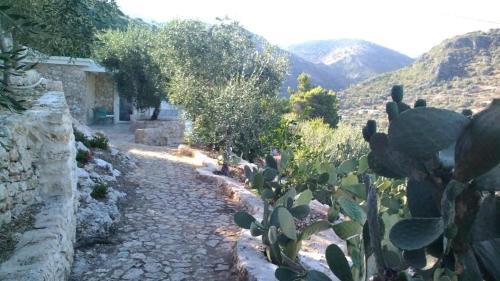 Mattinata Apartment | Residence Montelci