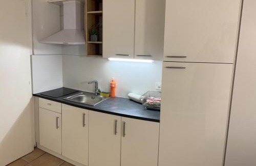 Neuchatel Apartment | Residence Vue Chateau