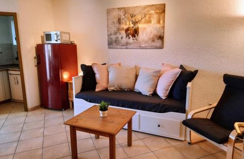 Todtnauberg Apartment | Residenz Schauinsland, ganzes Appartement, Sauna