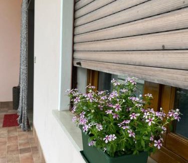 Pieve di Soligo House | Residenza 38