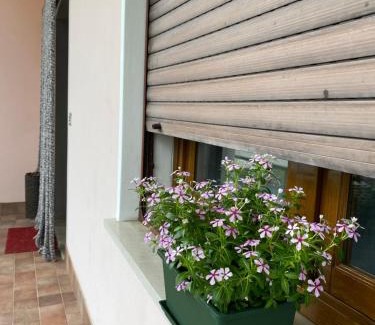 Pieve di Soligo House | Residenza 38