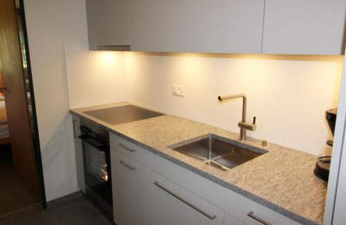 Sils-Maria Apartment | Residenza Lagrev 1 Zimmerwohnung Nr 228 - Typ 11A - 2 Etage - Ost