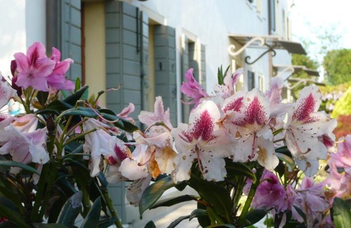 Mirano Bed & Breakfast | Residenza Serena