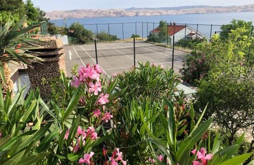 Cesarica Apartment | Resort haus ToMa