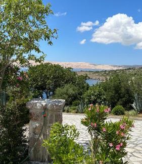 Cesarica Apartment | Resort haus ToMa