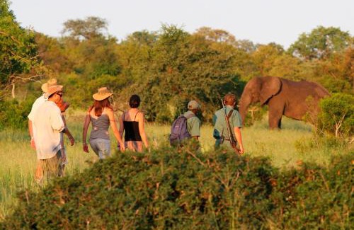 Kruger National Park House | Rhino Walking Safaris