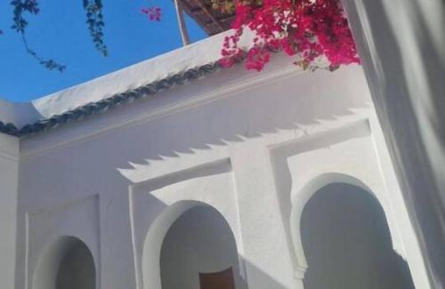 Sidi Bou Amar House | Riad des oiseaux