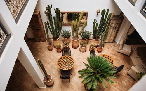 Sidi Bou Amar House | Riad Instant T
