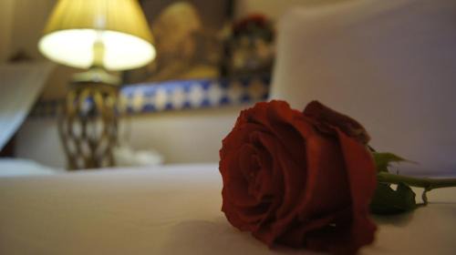 Sidi Bou Amar House | Riad Les Trois Palmiers El Bacha