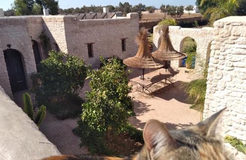 Sidi Kaouki Villa | Riad Mamy Wababi