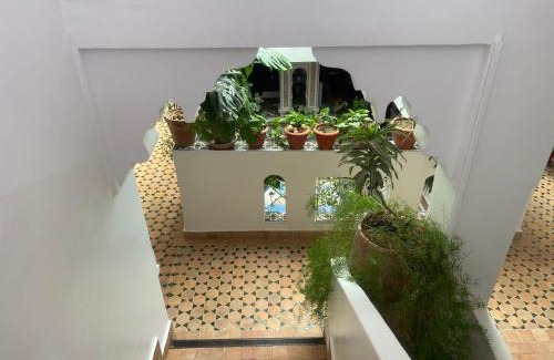 Martil Apartment | Riad Salt River