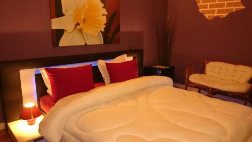 Shumen Hotel | Rimini Club Inn & Suites
