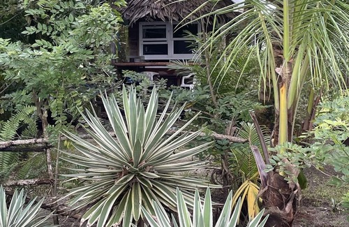 Puerto Barrios House | Rio Lagarto cabin by the sea