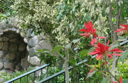 Lumbisi Bed & Breakfast | Rio San Pedro B&B