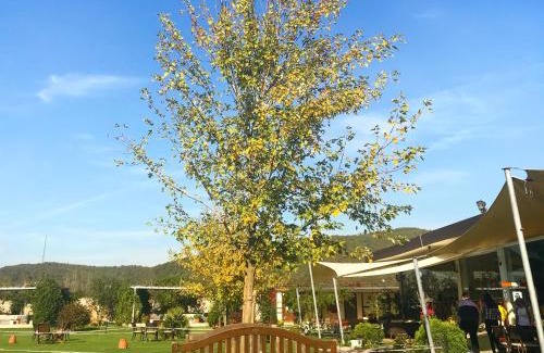 Cekmekoy Hotel | Riva's Club Hotel