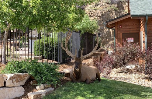 Estes Park Condo | RIVER FRONT! . 3-minute walk to downtown Estes Park!