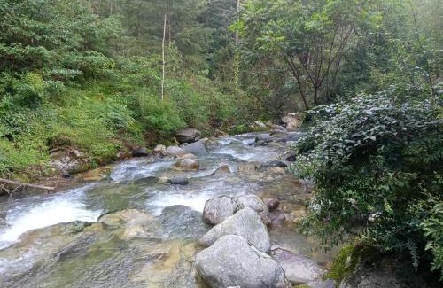 Ghiyagi House | River Front Homestay