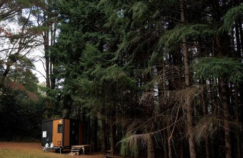 Noojee House | River Oasis Tiny House by Tiny Away