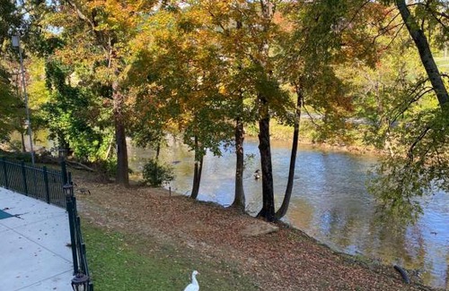 Pigeon Forge House | River Place Condos Riverside #209