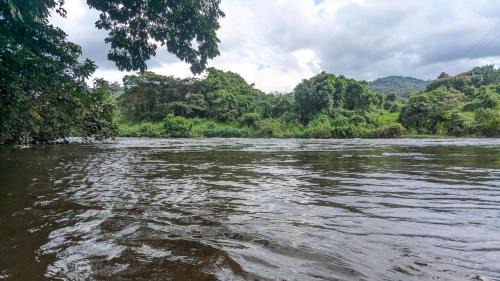 Kithulgala Resort | River Resort Kitulgala