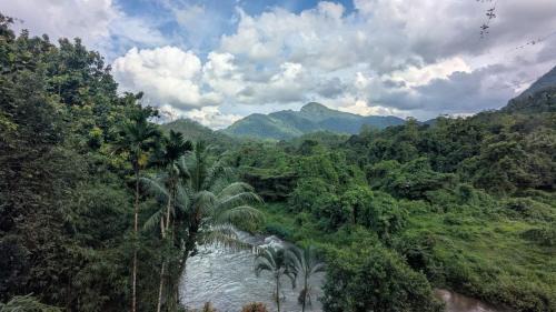 Kithulgala Resort | River Resort Kitulgala