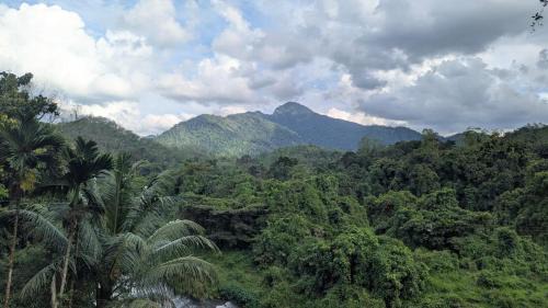 Kithulgala Resort | River Resort Kitulgala