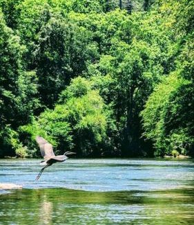 Cleveland House | River Retreat Cabin - Living Water Farm