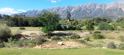 Wolseley House | Riverbank