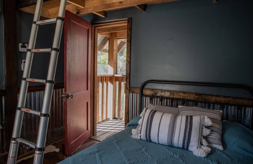 Saluda Cottage | Riverfront tiny home w/outdoor firepit. Walk to waterfalls and go flyfishing!