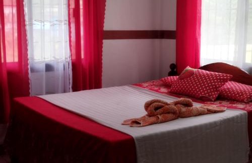 Puerto Galera Bed & Breakfast | Riverside at Aninuan Accommodation and Food