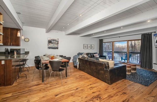 Telluride Condo | Riverside C03 A Mountain Forest Hideaway - 2 Bedrooms, 2 Bathrooms, Sleeps 6