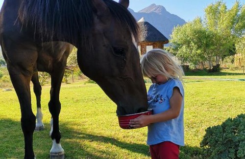 Tulbagh House | Riviera Cottage