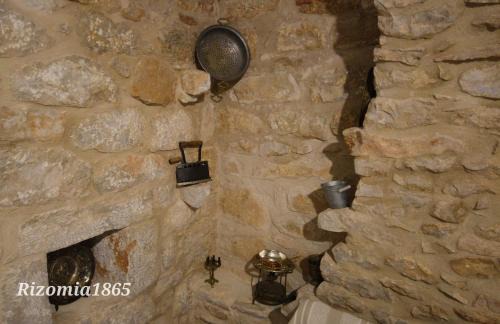 Omales House | Rizomia 1865
