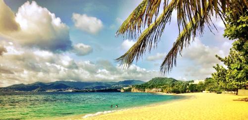St. John House | RNM The Clubhouse, Grenada