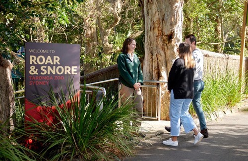 Mosman Hotel | Roar And Snore