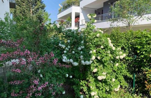 Robertsau Apartment | Robertsau, jardin en ville