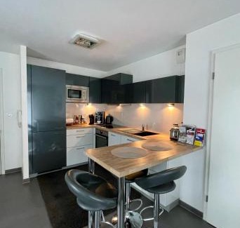 Robertsau Apartment | Robertsau, jardin en ville