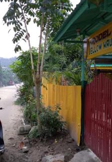 Port Barton House | Rodel Yellow Hauz